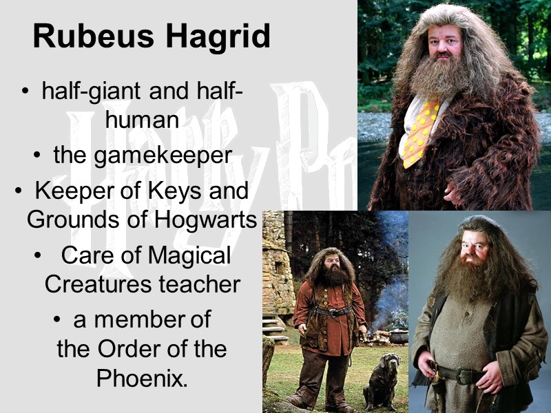 Rubeus Hagrid  half-giant and half-human  the gamekeeper  Keeper of Keys and